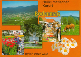 Mehrfachkarte BODENMAIS, Bayrischer Wald - Bodenmais