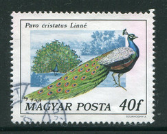 HONGRIE- Y&T N°2550- Oblitéré - Peacocks