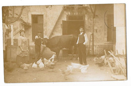 CHATOU (78) Carte Photo Intérieur De La Ferme De La Renaissance Animation Gros Plan - Chatou