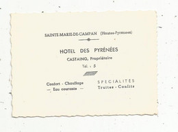 Carte De Visite Et Photographie ,65 , SAINTE MARIE DE CAMPAN ,hôtel Des Pyrénées ,Castaing Propriétaire ,2 Scans - Visitekaartjes