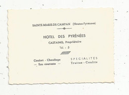 Carte De Visite Et Photographie ,65 , SAINTE MARIE DE CAMPAN ,hôtel Des Pyrénées ,Castaing Propriétaire ,2 Scans - Cartoncini Da Visita