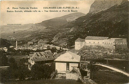 Colmars Les Alpes * Vue Générale Et Fort De Savoie - Andere & Zonder Classificatie