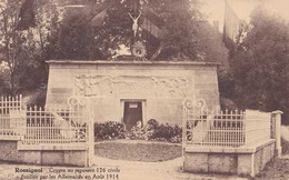 Rossignol - Tintigny - Crypte Où Reposent 126 Civils Fusilés Par Les Allemands En Août 1914 - Pas Circulé - TBE - Tintigny