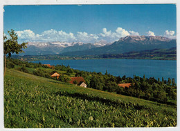 SEMPACHERSEE  MIT  ALPEN         2  SCAN      (VIAGGIATA) - Sempach