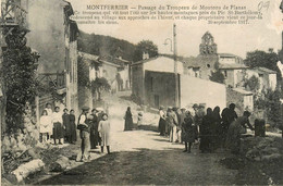 Montferrier * Passage Du Troupeau De Moutons De Planas * Berger - Ax Les Thermes