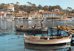 SAINT-MANDRIER - Préparatifs Pour La Pêche - Barques "Saint-Louis", "Toulon T.6663", "T.648" - Saint-Mandrier-sur-Mer