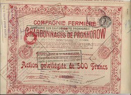 COMPAGNIE FERMIERE DES CHARBONNAGES DE PROKHOROW - ACTION DE 500 FRS -ANNEE 1911 - Bergbau