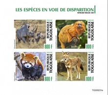 Togo 2020, Animals In Danger, Rhino, Monkey, Panda, Wolf, 4val In BF IMPERFORATED - Rhinoceros