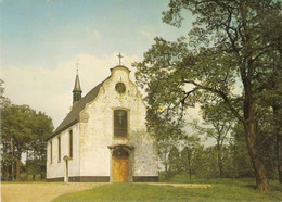 Berlare - Donkkapel  Chapelle Bareldonk Kapel - Berlare