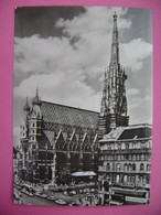Wien - Stephansdom - St. Stephen's Cathedral - Ca 1960s Unused - Stephansplatz