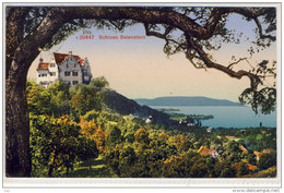 Schloss  Salenstein - 1920, Gel. In MANNENBACH - Salenstein