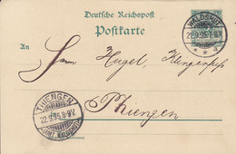 Reichspost WALDSCHLOSSBRAUEREI (Brewery Brasserie), Deluxe WALDSHUT 1895 THIENGEN (Amt. Waldshut) (Arr.) (2 Scans) - Postkarten