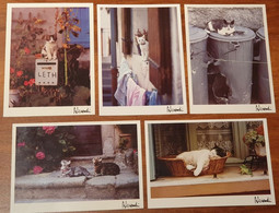 Lot De 5 CP Cartes Postales CHAT - Non écrite Etat Neuf - Production Alessandri - Photos / Lot 7 - Cats