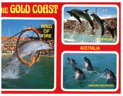 (R 11) Australia - Gold Coast - Dolhpin  (GC1) - Gold Coast