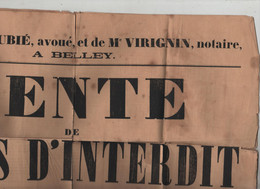 Vente De Biens D'interdit Saint Martin De Bavel Ceyzérieu Talissieu Cusieu Béon 1878 Dubié  Virignin Notaires Belley - Manifesti