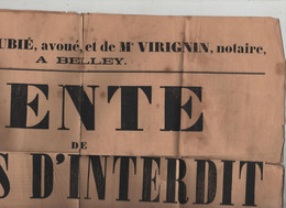 Vente De Biens D'interdit Saint Martin De Bavel Ceyzérieu Talissieu Cusieu Béon 1878 Dubié  Virignin Notaires Belley - Afiches