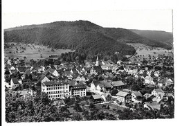 Sissach, Vue Générale (6258) - Sissach