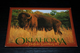 17988-             OKLAHOMA, BUFFALO TERRITORY - Other & Unclassified