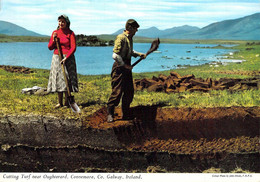 Galway - Travailleurs Creusant La Terre Près De Oughterard - Galway