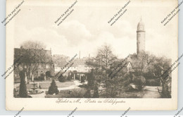 6230 HÖCHST, Partie Im Schloßgarten, 1918 - Hoechst