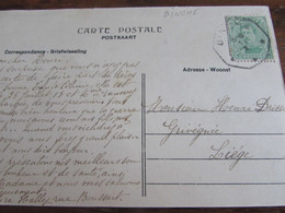 1918-19 : Carte Vue De Binche Oblitérée De FORTUNE Par Le CACHET TELEGRAPHIQUE De BINCHE - Fortuna (1919)