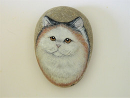 Original Painting Of A Tortoiseshell And White Persian Cat Hand Painted On A Smooth Beach Stone Paperweight - Paper-weights