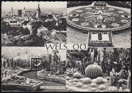 Austria - 4600 Wels - Kakteenhaus ( 60er Jahre) - Wels