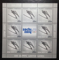 RUSSIA, Uncirculated Souvenir Sheet, « SOCHI 2014 », « Ski Jumping », 2014 - Winter 2014: Sotschi