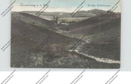 2058 LAUENBURG, In Den Heidebergen, 1919 - Lauenburg