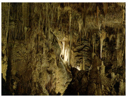 (R 18 B) Australia - WA - Mammoth Cave Margaret River - Autres & Non Classés