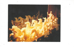 Delcampe - CORDES  MUSEE DE L ART DU SUCRE  NEPTUNE ****  A SAISIR ***** - Cordes