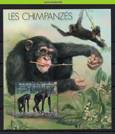 Nep144 FAUNA AAP APEN ZOOGDIEREN CHIMPANSEE PRIMATE MONKEYS MAMMALS APES AFFEN SINGES QWBU 2012 ONG/LH - Chimpanzees