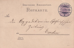 ALLEMAGNE 1889  ENTIER POSTAL/GANZSACHE/POSTAL STATIONARY CARTE DE PEWSUM - Enteros Postales