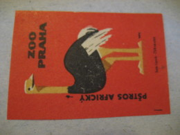 ZOO PRAGA Pstros Africky Ostrich Ostriches Poster Stamp Vignette CZECHOSLOVAKIA Label Bird Birds - Straussen- Und Laufvögel