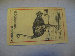 AUTRUCHE Struisvogel Ostrich Ostriches Poster Stamp Vignette NETHERLANDS Label Bird Birds - Autruches