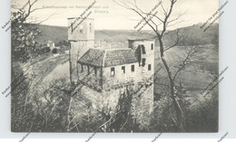 6918 NECKARSTEINACH, Schwalbennest & Dilsberg - Heppenheim