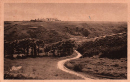 3914 Carte Postale BELLE ILE EN MER  Le Vallon De Bortifaouenne Borcastel    Route Grotte         56 Morbihan - Belle Ile En Mer