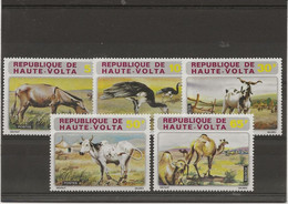 HAUTE - VOLTA  -ANIMAUX  DIVERS  -N° 279 A 283 - NEUF INFIME CHARNIERE -ANNEE 1972 - COTE :7,50 € - Obervolta (1958-1984)