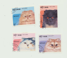 Viet Nam - Domestic Cats