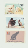 Pilipinas Et Thailand - Chats Domestiques