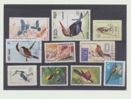 10 Oiseaux - Collections, Lots & Séries