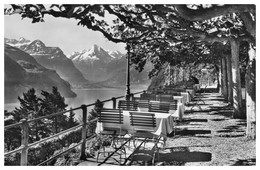 Cpsm Dentelée - SEELISBERG - Hôtel Bellevue - Terrasse Mit Bristenstock - Bes. E. Amstad Lusser - Photoglob WEHRLI AG - Seelisberg