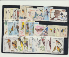 50 Oiseaux Differents - Collections, Lots & Series