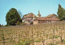Etoy Belle Vue Du Village Le Château L'Eglise Vignes Vignoble - Étoy