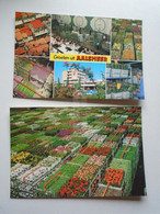 D173982 Netherlands  Lot Of  2 Postcards AALSMEER - Aalsmeer