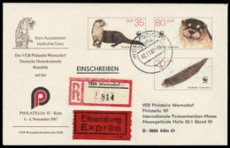 1987, DDR, U 7, Brief - Other & Unclassified
