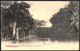 CPA Ile Maurice Pamplemousses The Lake In The Royal Botanical Garden - Mauricio