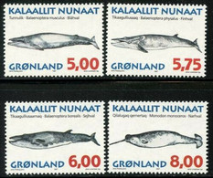 Greenland, 1997, Whales, Animals, Fauna, MNH, Michel 305-308y - Sonstige & Ohne Zuordnung