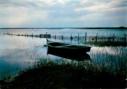 Bouaye * Le Lac De Grand Lieu - Bouaye