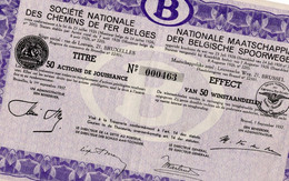 Titre De Bourse NMBS-SNCB - 50 Actions De Jouissance - 50 Winstaandeelen - 1937 - Railway & Tramway